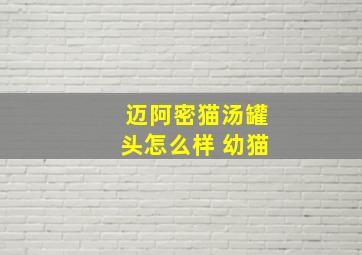 迈阿密猫汤罐头怎么样 幼猫